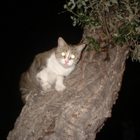 Photo de profil de Frida