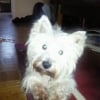 Photo de Virgule