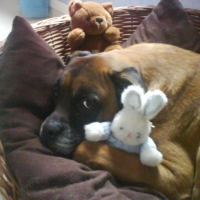 Photo de profil de Tyson