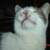 Photo de Doudou