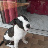 Photo de profil de Packo