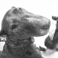 Photo de profil de Zaza