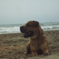 Photo de profil de Kaya