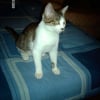 Photo de Eliott