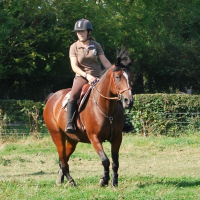 Photo de profil de Azur