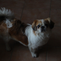 Photo de profil de Bisounours