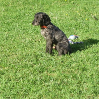 Photo de profil de Nikos
