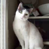 Photo de profil de Leya