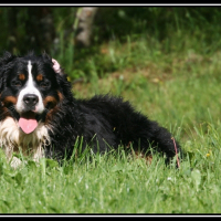 Photo de profil de Athos
