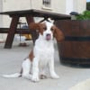 Photo de Dolli