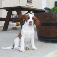 Photo de profil de Dolli