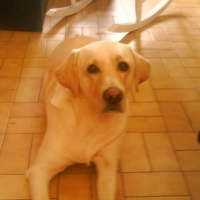 Photo de profil de Cheyenne