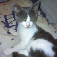 Photo de profil de Bisouille