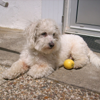 Photo de profil de Cachou