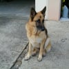 Photo de Princess