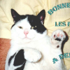 Photo de Pompon