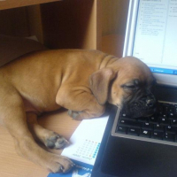 Photo de profil de Bouba