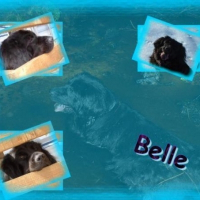 Photo de profil de Belle