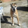Photo de Jazz