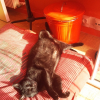 Photo de Kimi