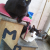 Photo de Nounou