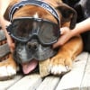 Photo de Nouk