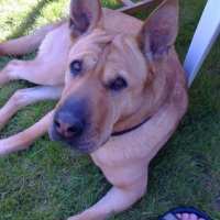 Photo de profil de Spooks