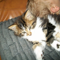 Photo de profil de Curly