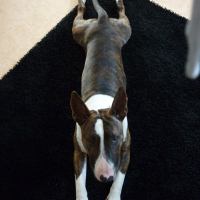 Photo de profil de Dior
