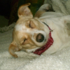 Photo de Ulka