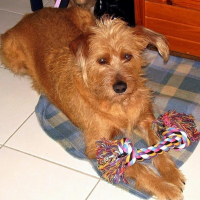 Photo de profil de Patty