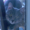Photo de Coco
