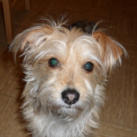 Photo de profil de Capucine