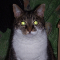 Photo de profil de Princesse