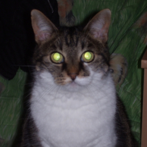 Photo de profil de Princesse