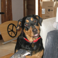 Photo de profil de Caya
