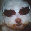 Photo de Vanille
