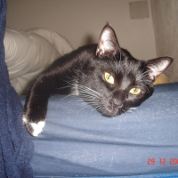Photo de profil de Storby