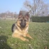 Photo de Eros