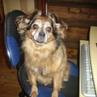Photo de profil de Fripon
