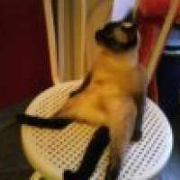 Photo de profil de Molly