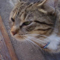 Photo de profil de Mimi