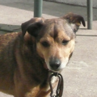 Photo de profil de Terry