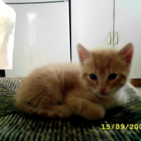 Photo de profil de Gierfield