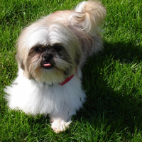 Photo de profil de Caramel