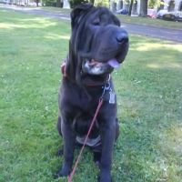 Photo de profil de Dolly
