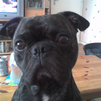 Photo de profil de Ugo