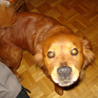 Photo de profil de Nounours