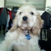Photo de Eros