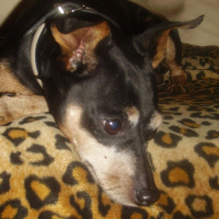 Photo de profil de Maxou